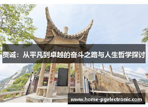 贾诚：从平凡到卓越的奋斗之路与人生哲学探讨
