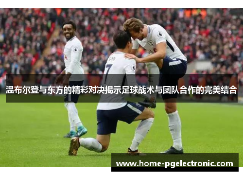 温布尔登与东方的精彩对决揭示足球战术与团队合作的完美结合